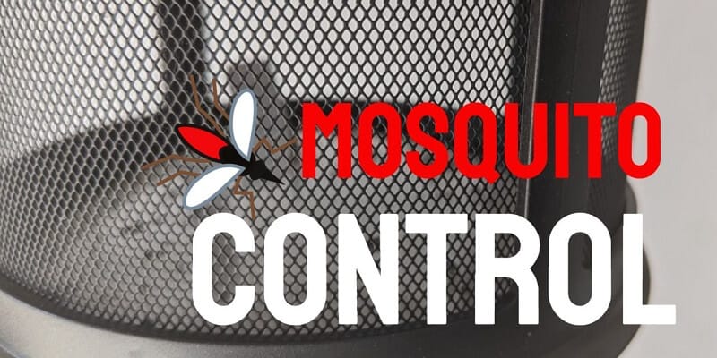 Mosquitoes in the house