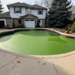My Pool Is Full Of Green Algae Green Algae